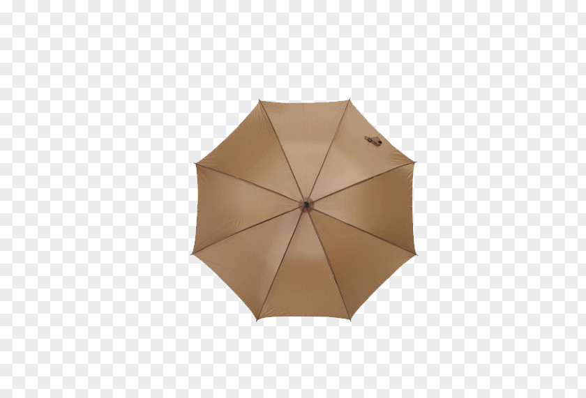 Umbrella Euclidean Vector Icon PNG