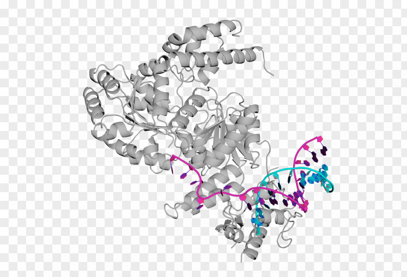 Delay Syndrome Bloom Protein Disease Symptom PNG