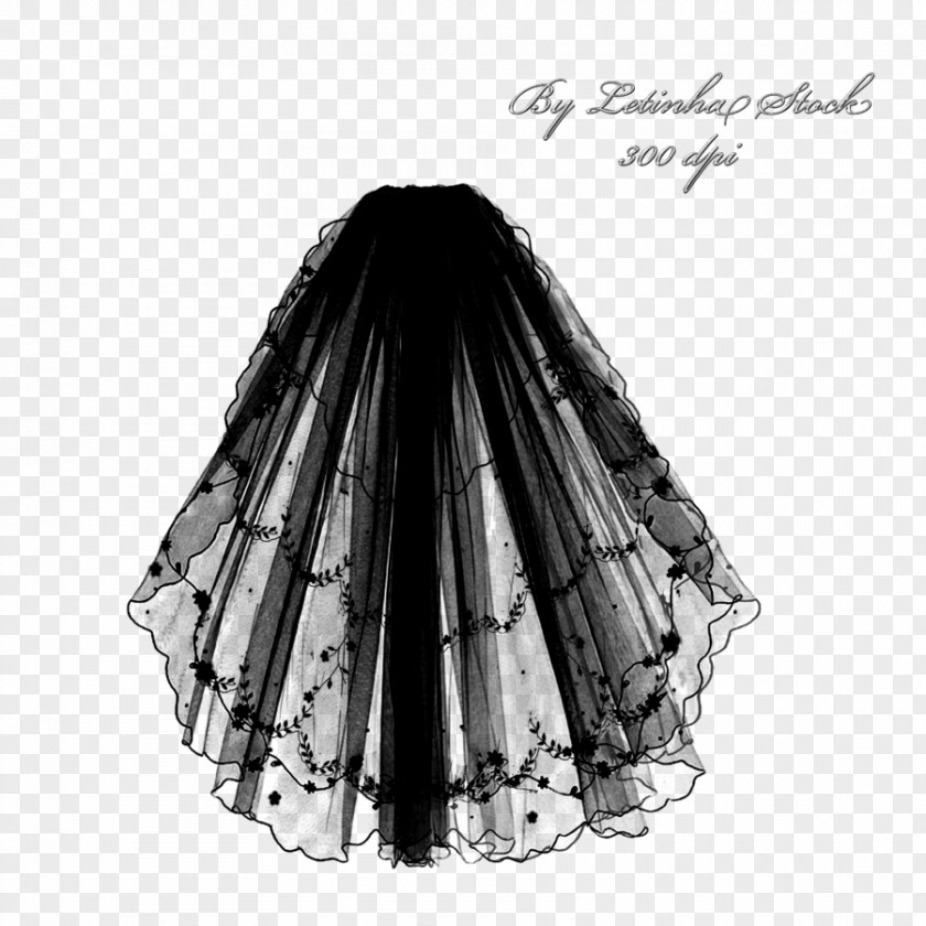 Gothic Veil Dress Skirt Lace Evening Gown PNG
