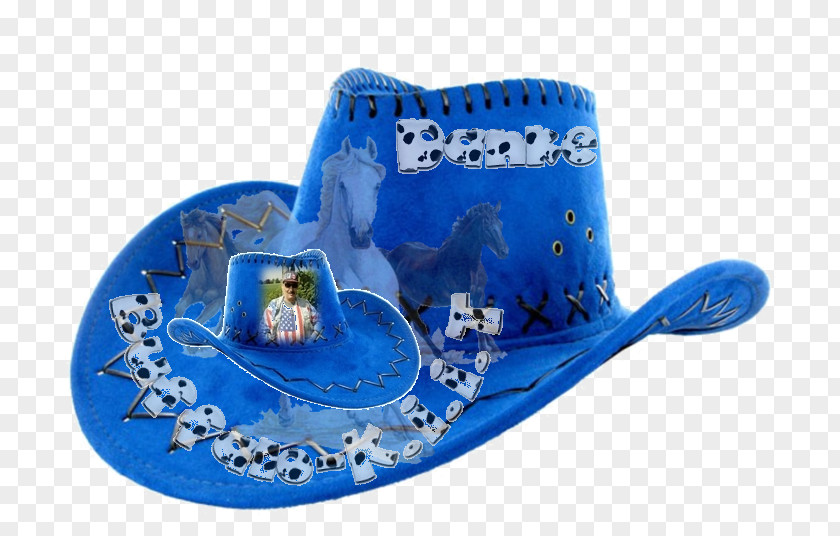 Jappy Cowboy Hat Blue Headgear PNG