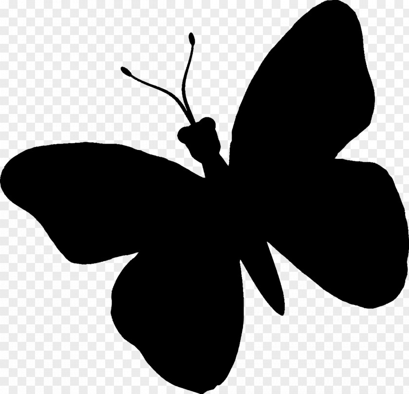 M Clip Art Silhouette Brush-footed Butterflies Insect Black & White PNG