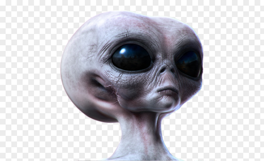 Alein Infographic Grey Alien Extraterrestrial Life Stock Photography Illustration PNG