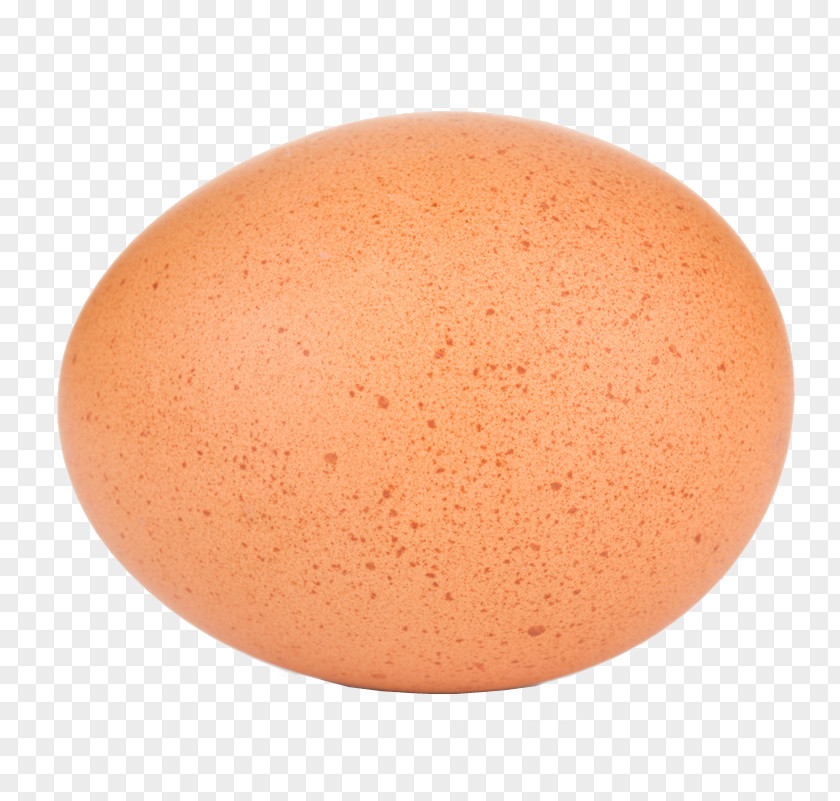 Dinosaur Eggs Egg PNG