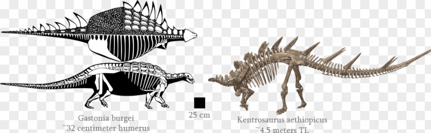 Dinosaur Line Art Animal Legendary Creature PNG