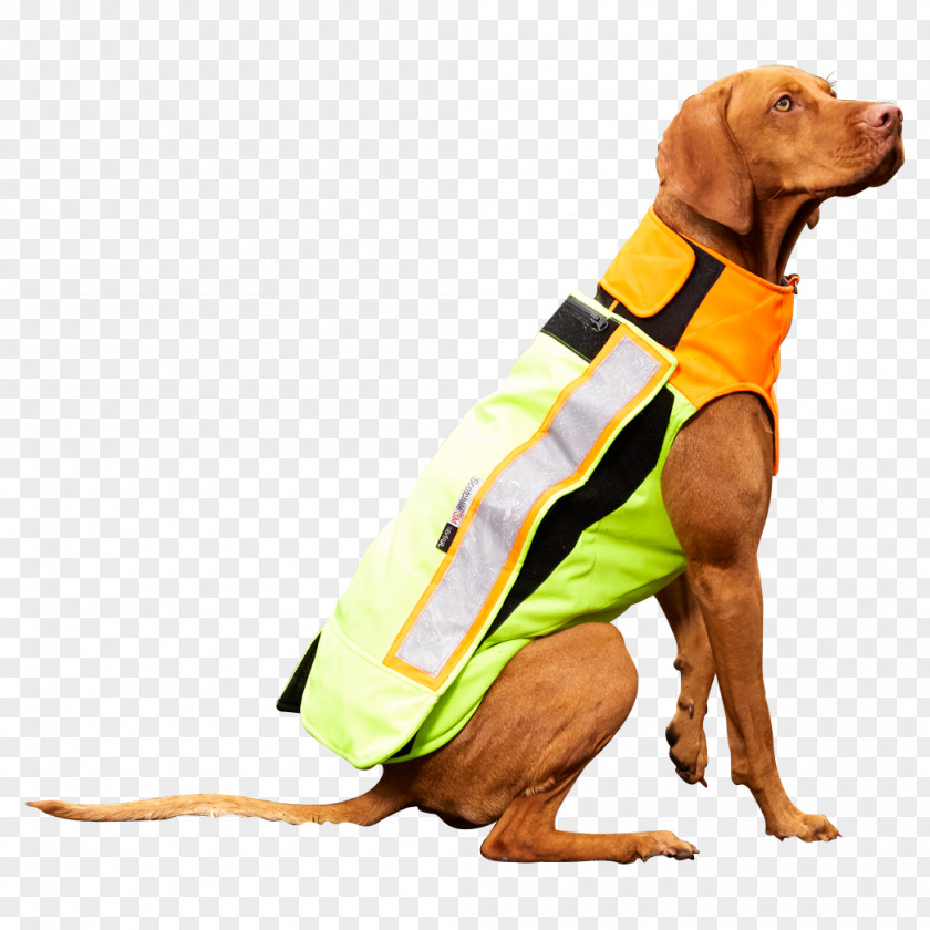 Dog Breed Puppy Companion Clothes PNG