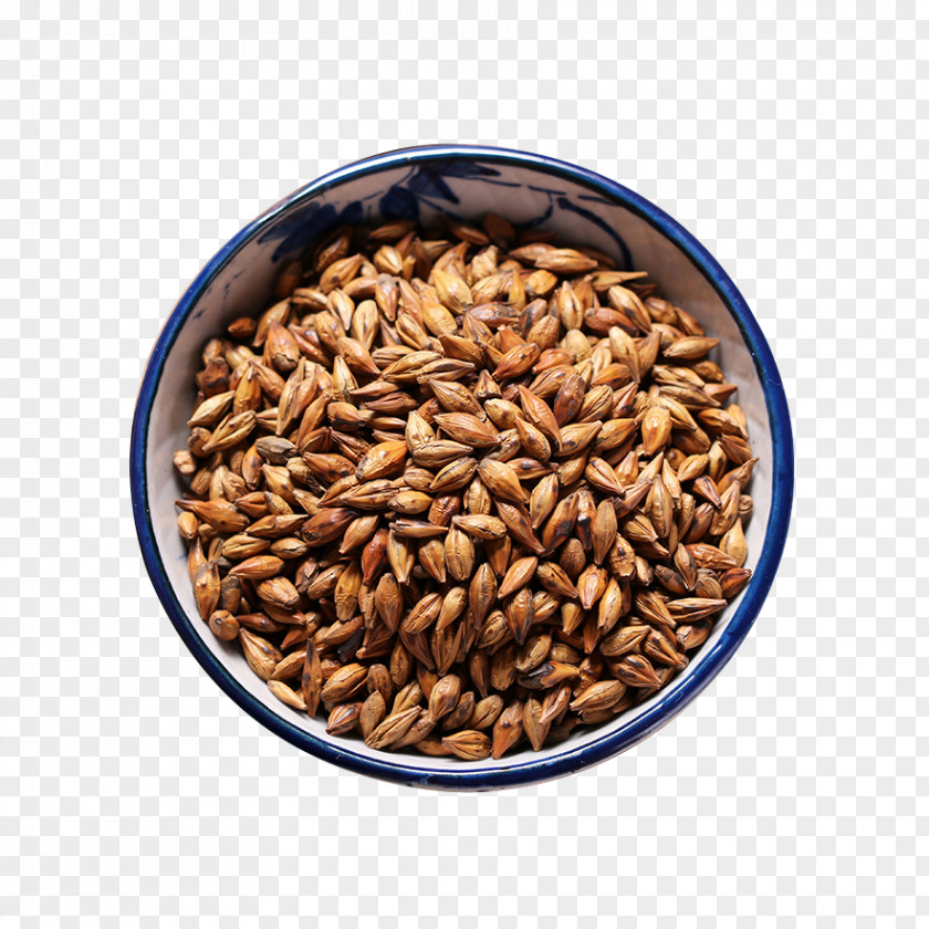 Grain Barley Tea Oat PNG