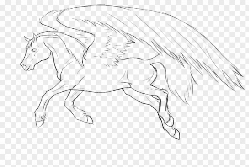 Pegasus Sketch DeviantArt Pony Line Art PNG