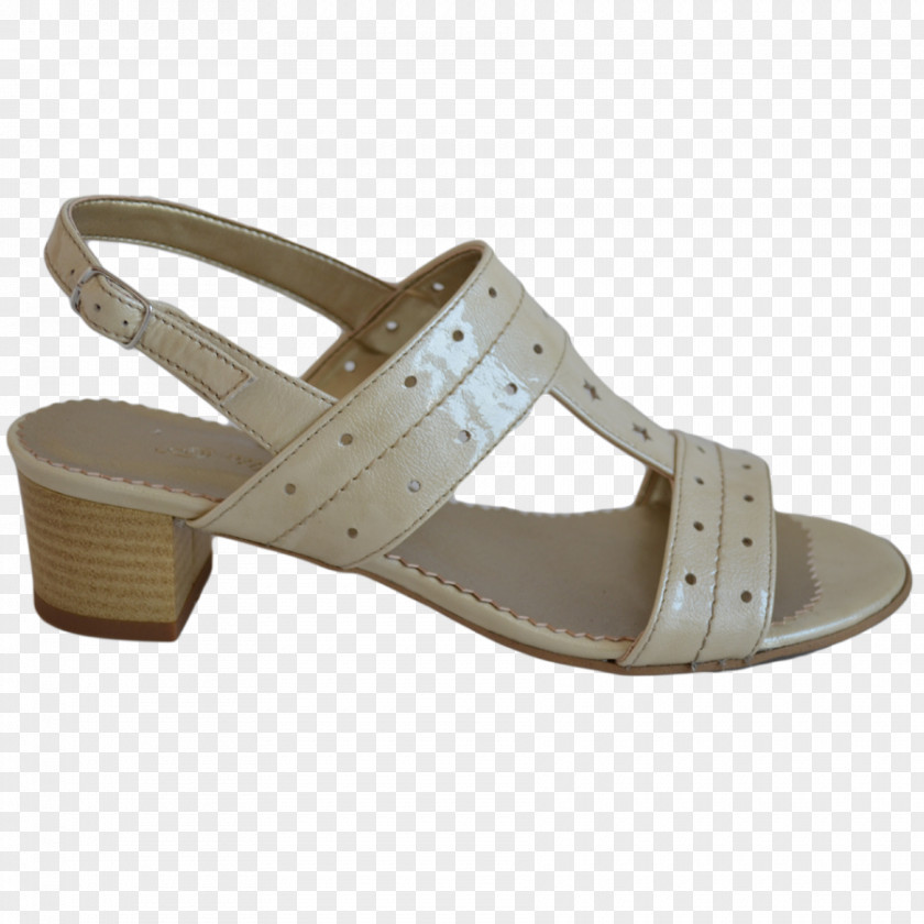 Sandal Footwear Shoe Stiletto Heel Absatz PNG