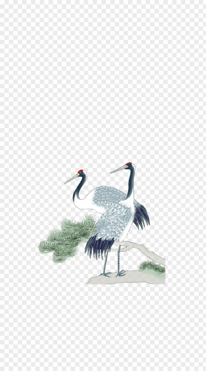 Two Red Top Crane Red-crowned Turtle Bird PNG