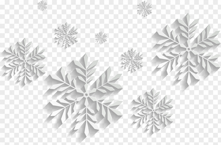 Abstract Flower Pattern Snowflake Schema PNG