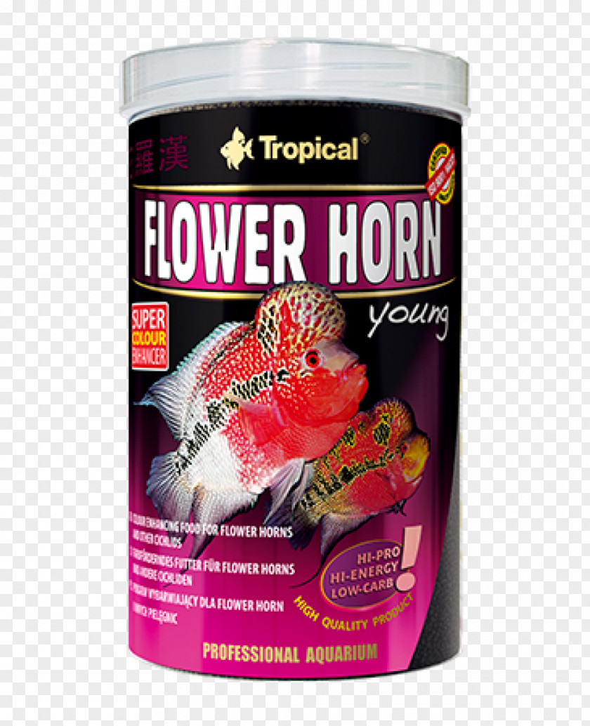 Fish Flower Horn Aquarium Feed Cichlid Pet Food PNG