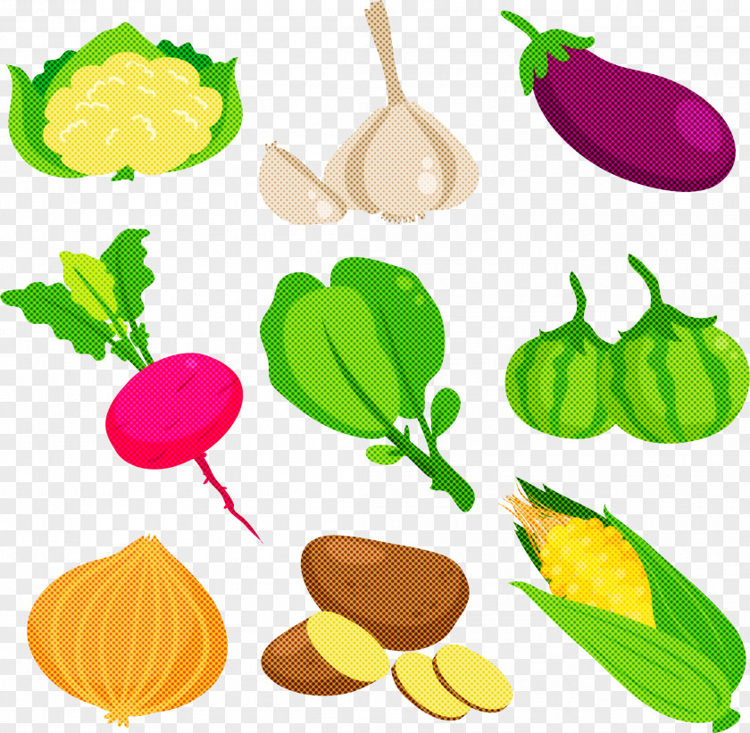 Leaf Food Group Vegetable Plant Vegetarian PNG