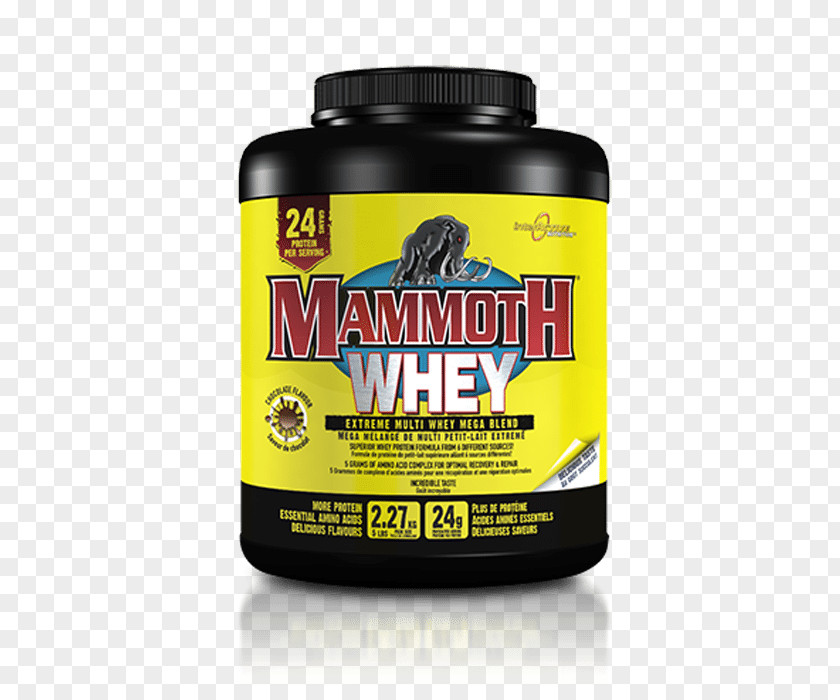 Mutant Bodybuilding Clothing Dietary Supplement Mammoth Mass 10lb Chocolate Interactive 6.8kg Gainer PNG
