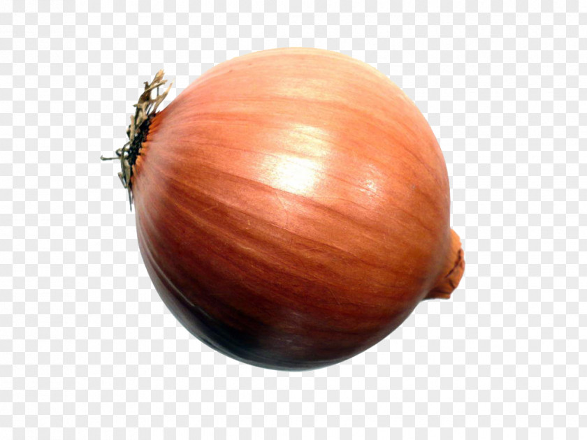Onion Yellow Shallot Red Computer File PNG