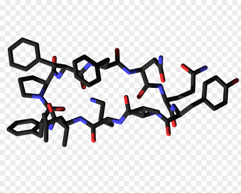 Tyrocidine Amino Acid Brevibacillus Brevis Bacteria Enzyme PNG