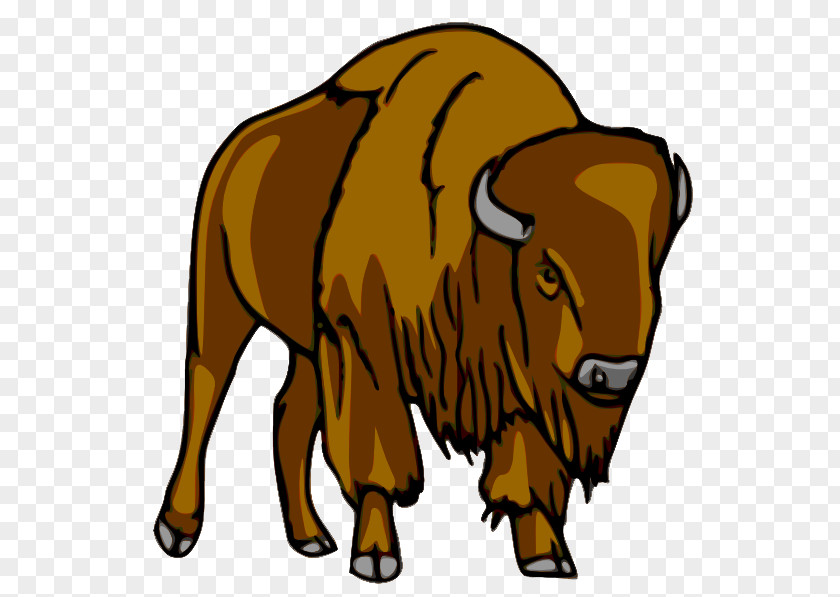 Fierce Bulls American Bison Clip Art PNG