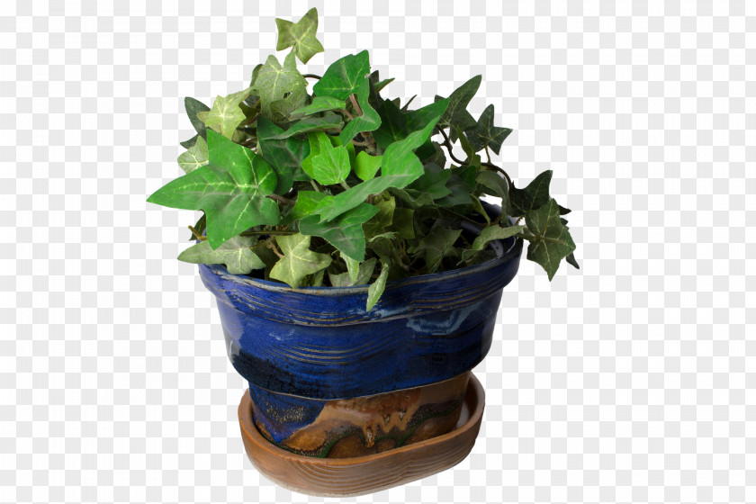 Handmade Flower Spring Greens Flowerpot Houseplant Leaf Herb PNG