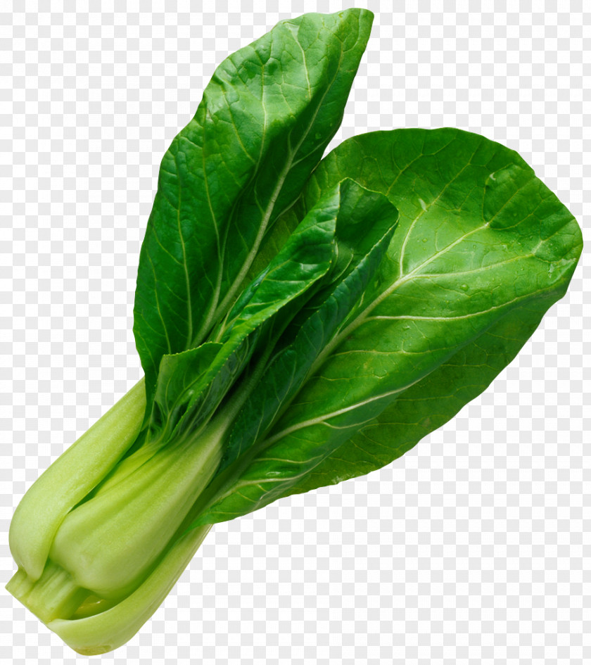 Lettuce Leaf Vegetable Salad Spinach PNG