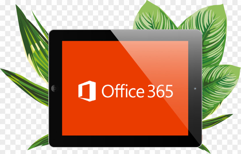 Microsoft Office 365 2016 Excel PNG