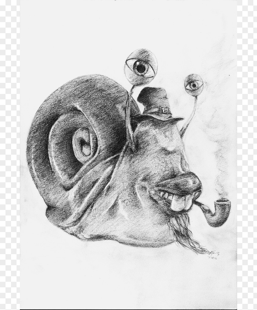 Snail Drawing Sketch PNG