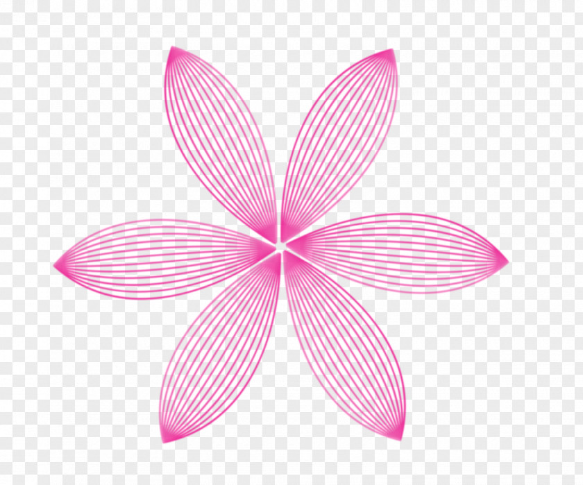 Symmetry Product Design Graphics Pink M PNG