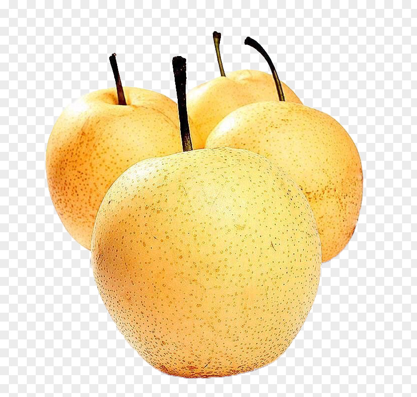 Crown Sydney Asian Pear Fruit Apple PNG