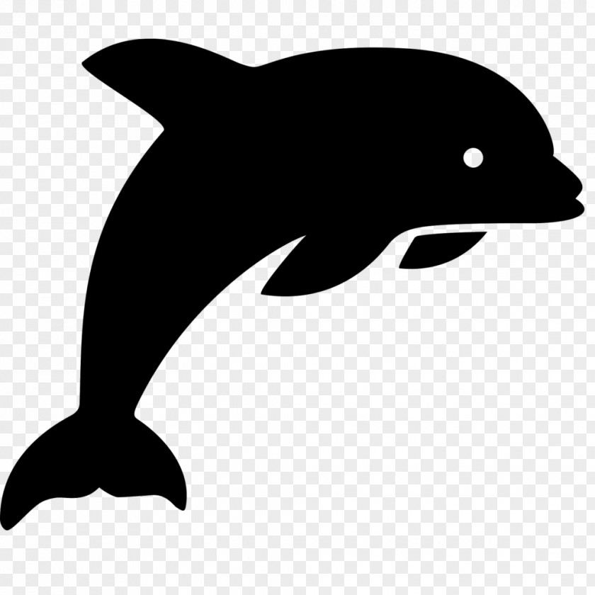 Dolphin Porpoise Common Bottlenose PNG