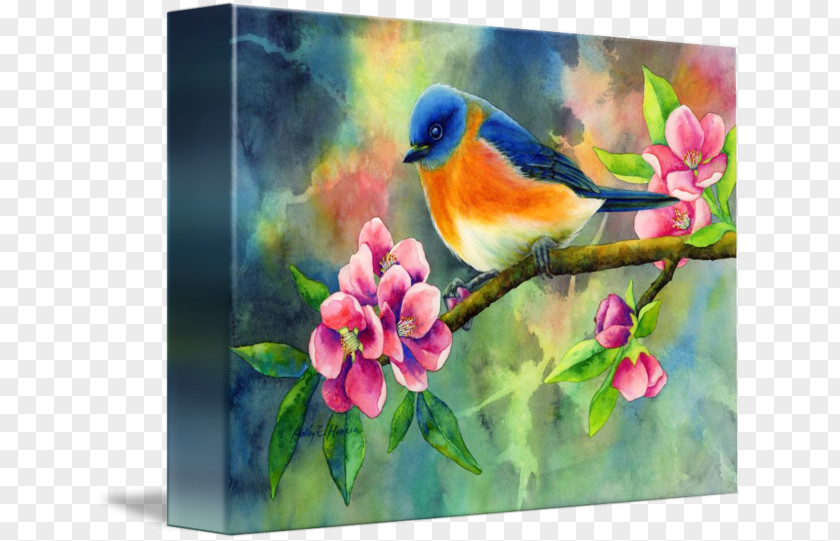 Eastern Bluebird Watercolor Painting Bird-and-flower Canvas Print PNG