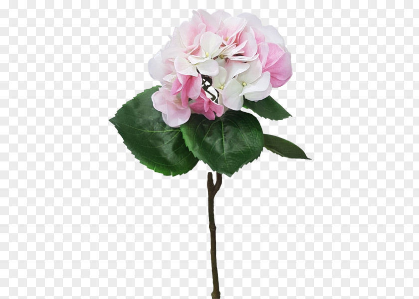 Hydrangea Cut Flowers Plant Centifolia Roses PNG