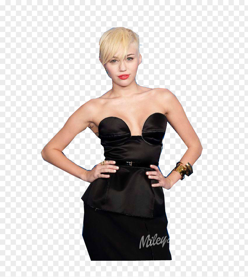Miley Cyrus DeviantArt Model Little Black Dress PNG