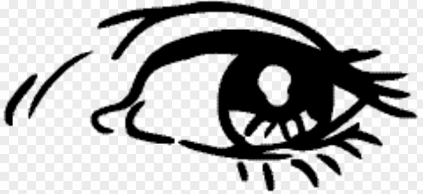 Blackandwhite Line Art Eye Cartoon PNG