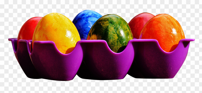 Colored Eggs For Easter In Tray Egg Color Carton PNG