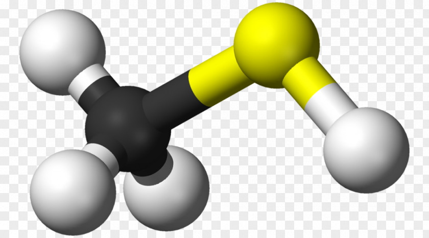 Fart Gas Methanethiol Odor Methyl Group Methanesulfonic Acid PNG