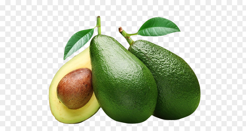 Avocado Fruit Food Oil PNG