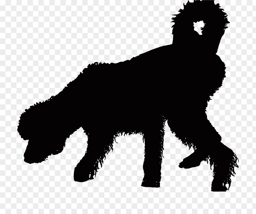 Canine Old English Sheepdog Puppy Portuguese Water Dog Clip Art PNG