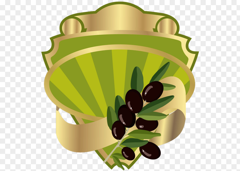 Olive Drawing PNG