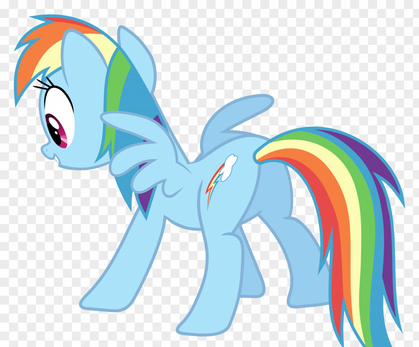 Rainbow Dash My Little Pony Fluttershy DeviantArt PNG