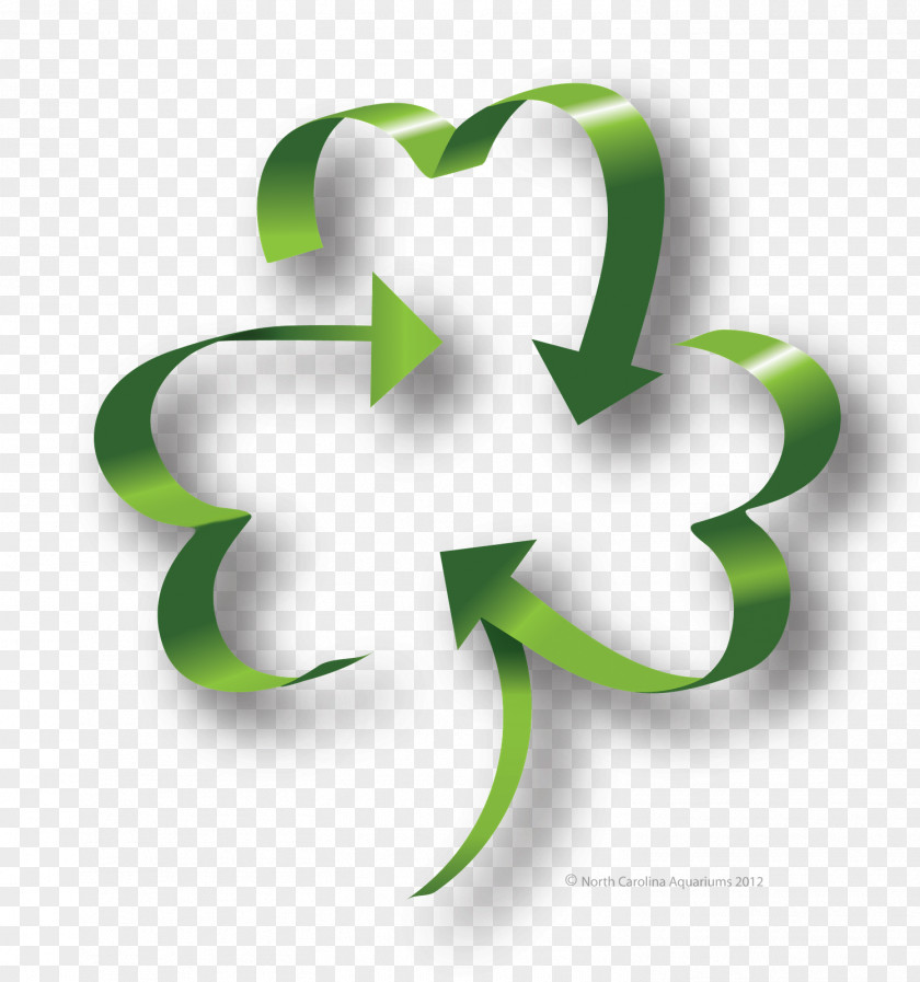 ST PATRICKS DAY Saint Patrick's Day ROC RECYCLING COMPANY March 17 PNG