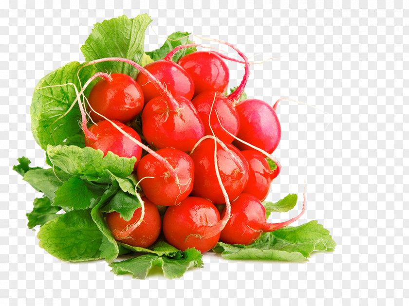 Vegetable Garden Radish Diabetes Mellitus Food Daikon PNG