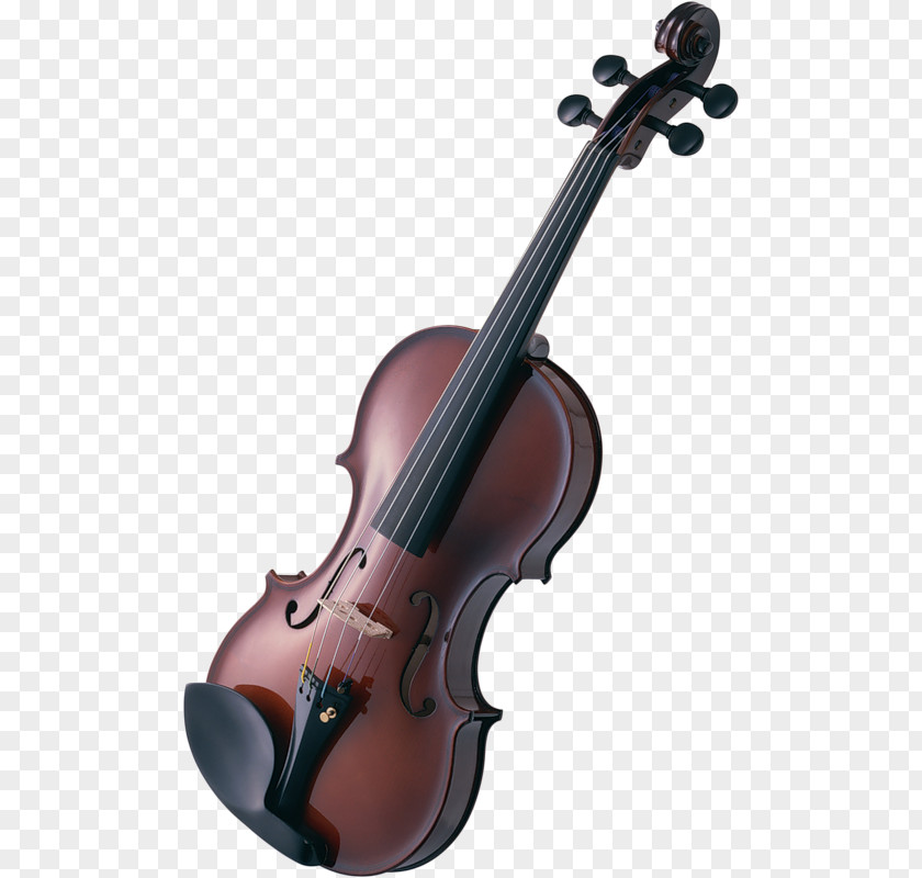 Violin Musical Instruments Cello Guitar PNG