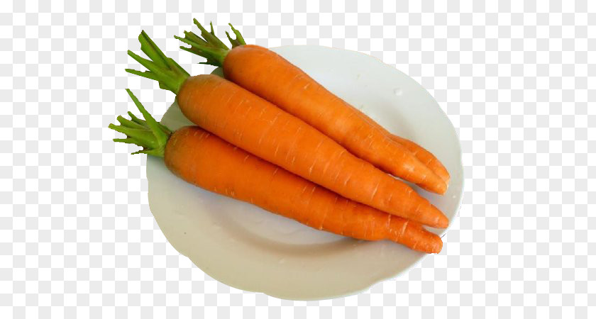 A Carrot Radish Food Root Vegetable PNG
