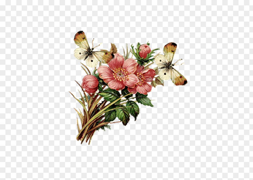 Butterfly Condolence Book Condolences Sympathy Greeting Card PNG