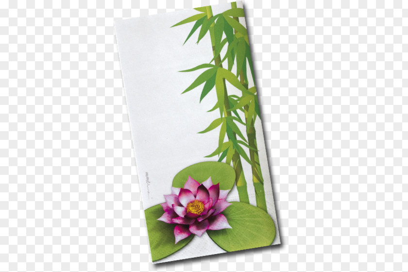 Design Floral Flowerpot Leaf Flowering Plant PNG