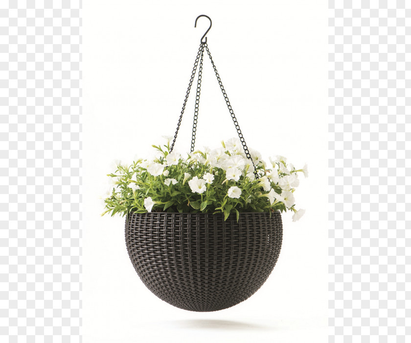 Hanging Flwers Basket Flowerpot Keter Plastic Garden PNG