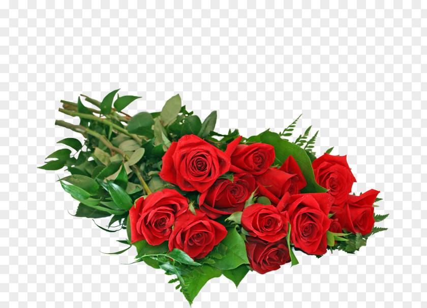 Rose Garden Roses Rosety Gardens Cut Flowers PNG