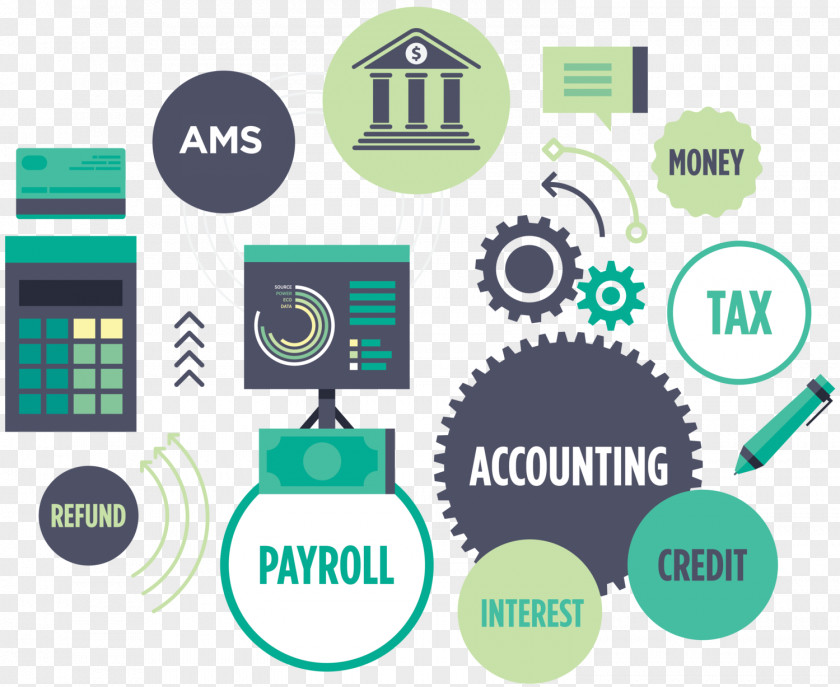 Business Financial Accounting Software Accountant Accounts Payable PNG