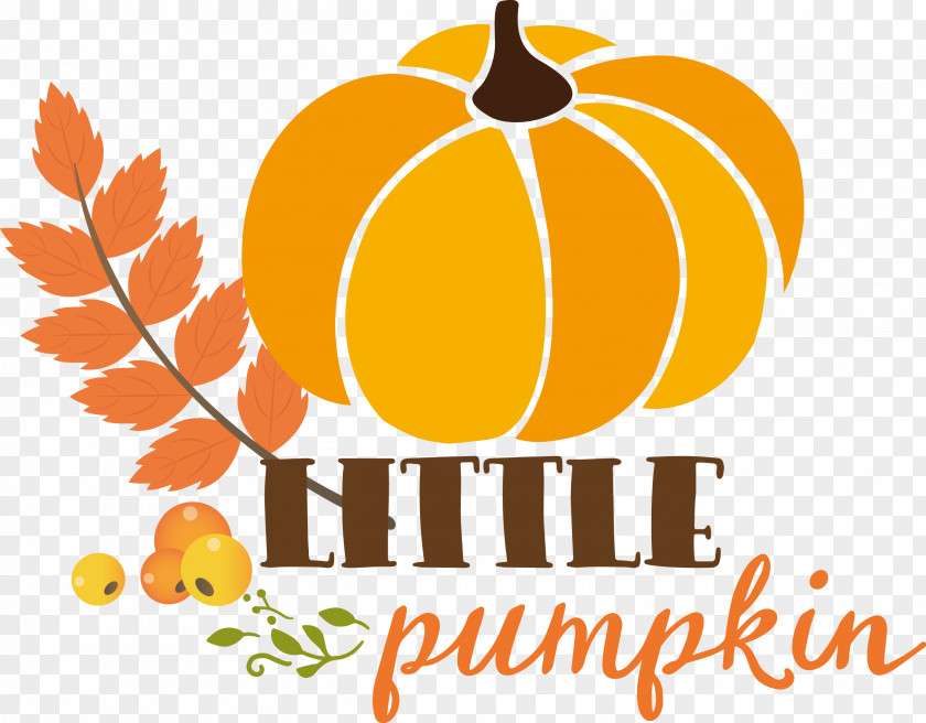 Little Pumpkin Thanksgiving Autumn PNG