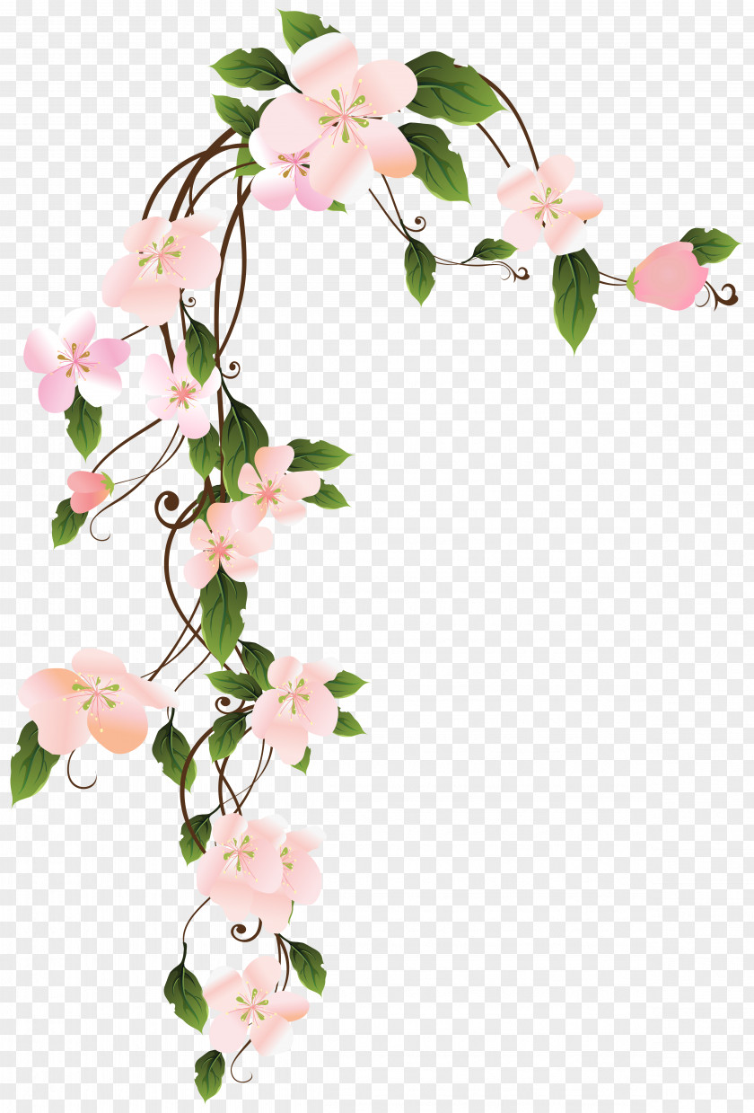 Painting Flower Borders And Frames Clip Art PNG
