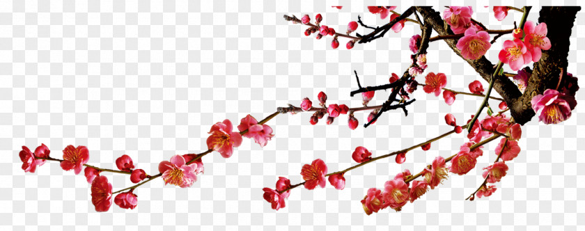 Plum Flower Ink Poster PNG