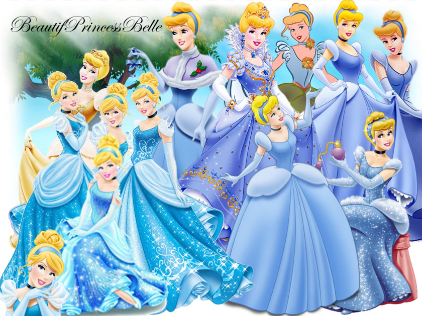 Cinderella Princess Aurora Fa Mulan Disney New Look PNG